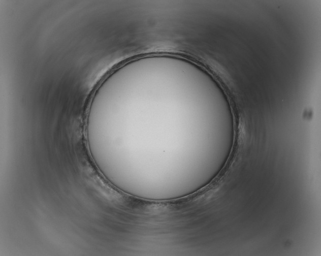 X0000111611212200907311131