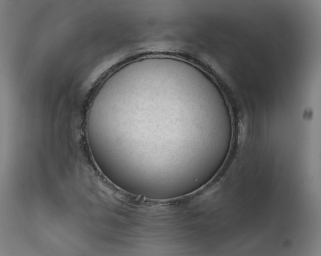 X0000111611213200907311131