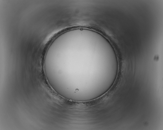 X0000111611214200907311131