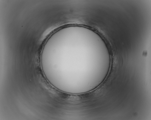 X0000111611215200907311131