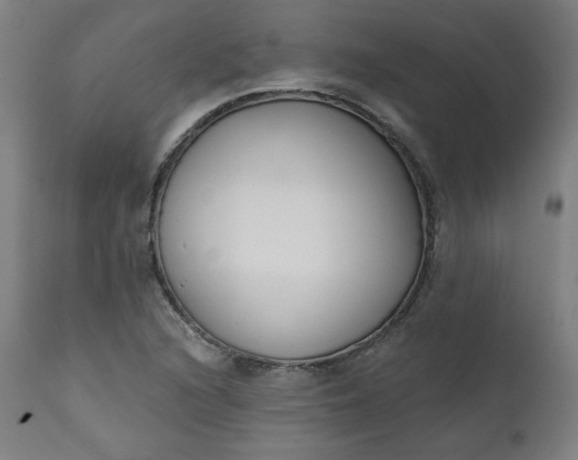 X0000111611216200907311131