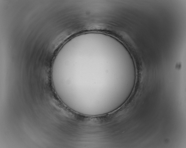 X0000111611217200907311131