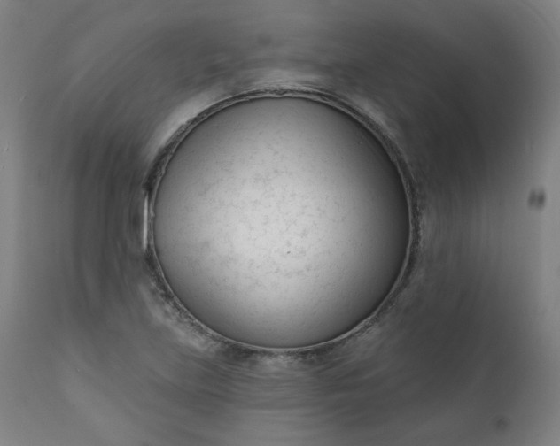 X0000111611219200907311131