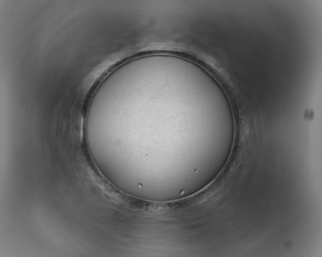 X0000111611221200907311131
