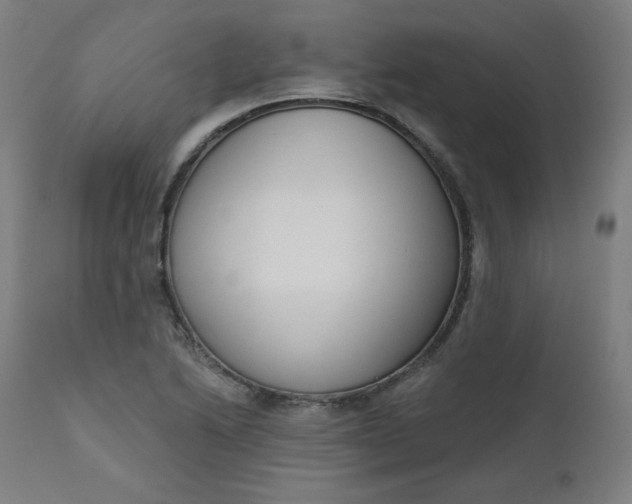X0000111611222200907311131