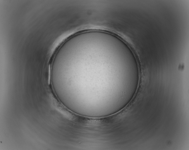 X0000111611223200907311131