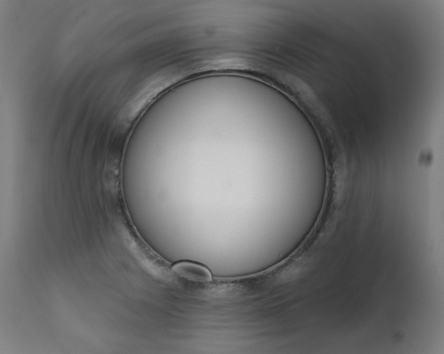 X0000111611225200907311131