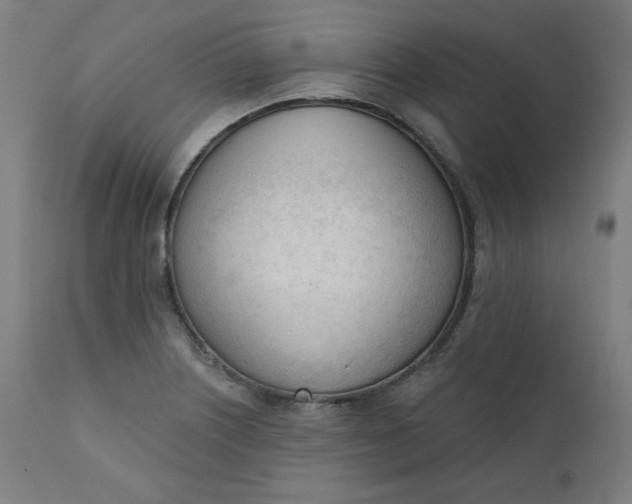 X0000111611226200907311131