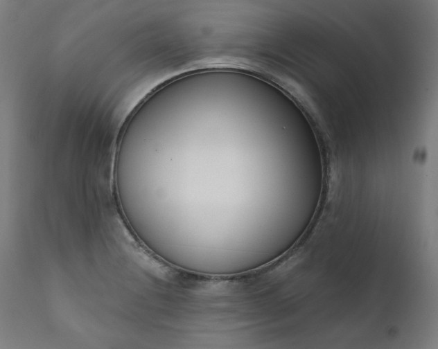 X0000111611228200907311131