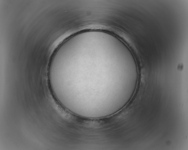 X0000111611229200907311131
