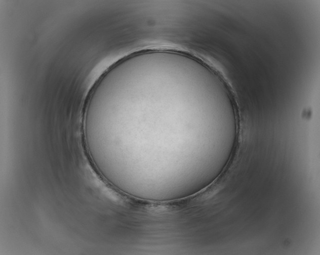X0000111611231200907311131