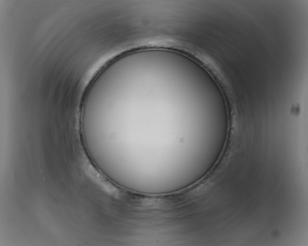 X0000111611232200907311131