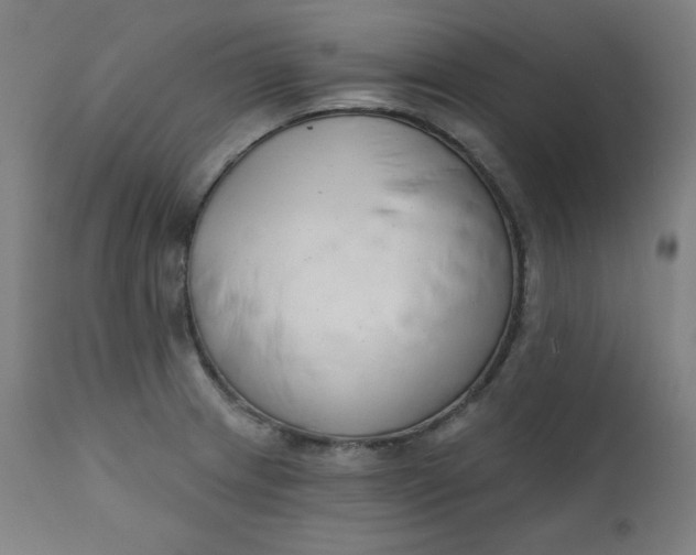 X0000111611233200907311131