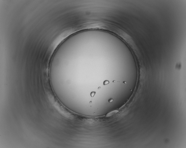 X0000111611234200907311131