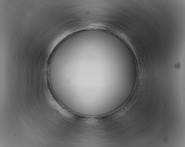 X0000111611235200907311131