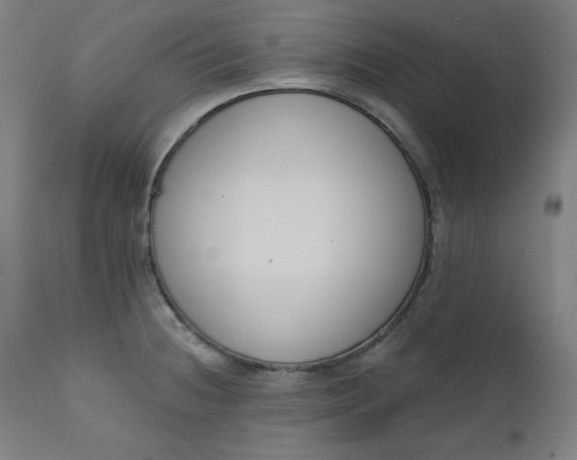 X0000111611236200907311131