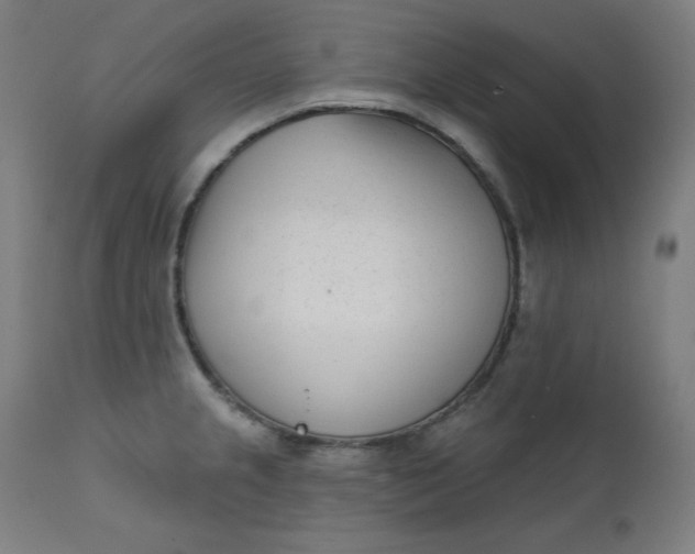 X0000111611237200907311131