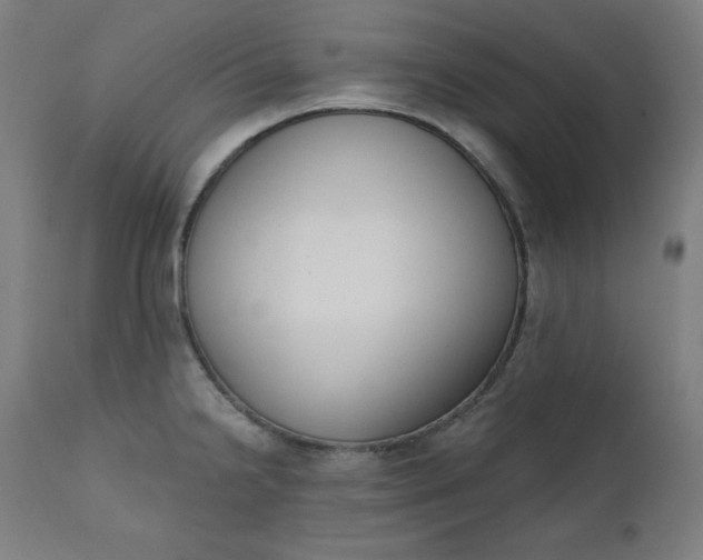 X0000111611238200907311131