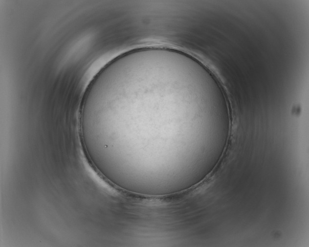 X0000111611239200907311131