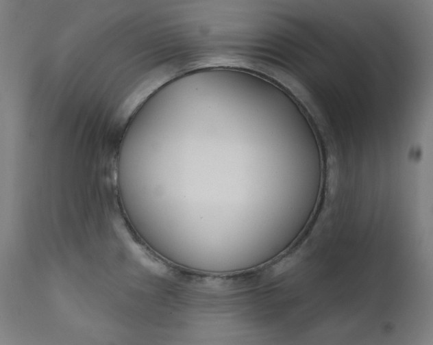 X0000111611241200907311131