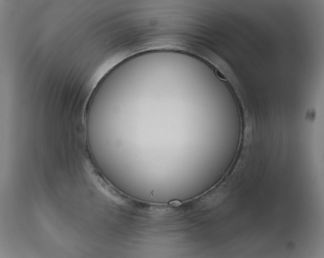 X0000111611242200907311131