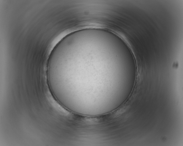 X0000111611243200907311131