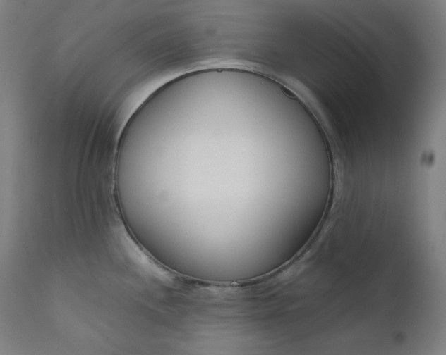 X0000111611244200907311131