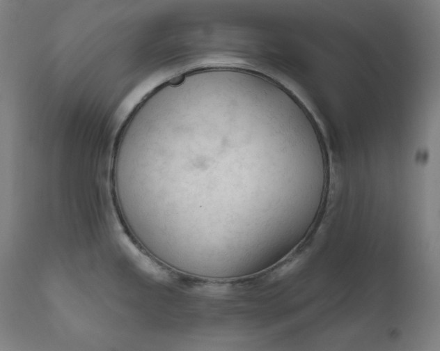 X0000111611245200907311131