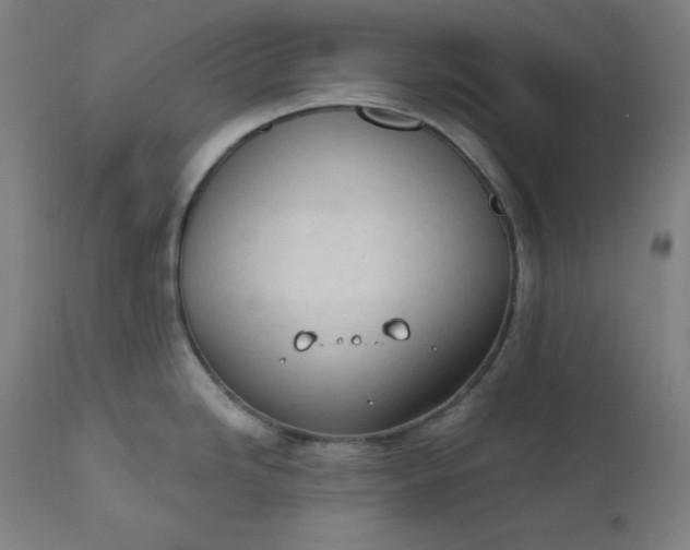 X0000111611246200907311131