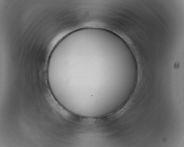 X0000111611248200907311132
