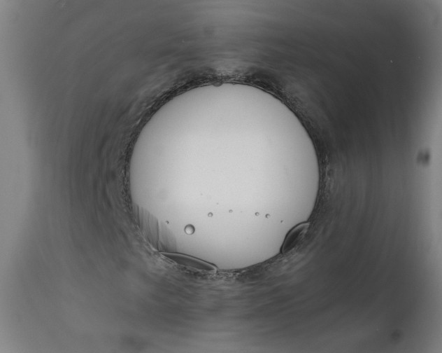 X0000111611249200907311131