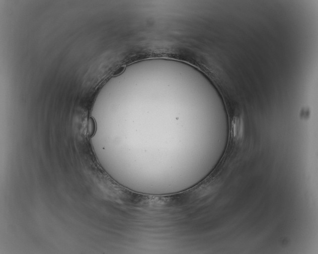 X0000111611251200907311131