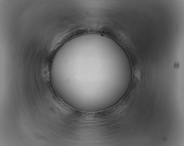 X0000111611252200907311131