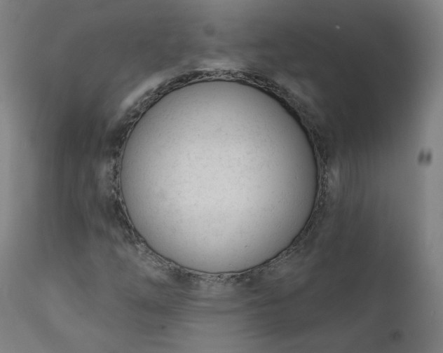 X0000111611254200907311131