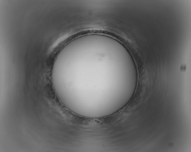 X0000111611255200907311131