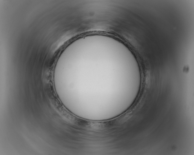 X0000111611258200907311131