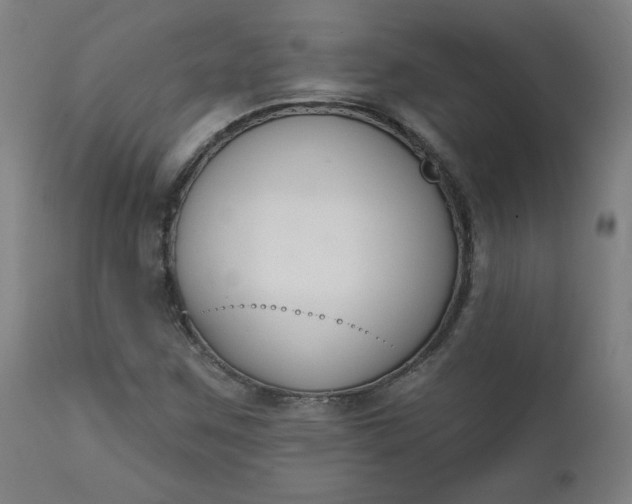 X0000111611259200907311131