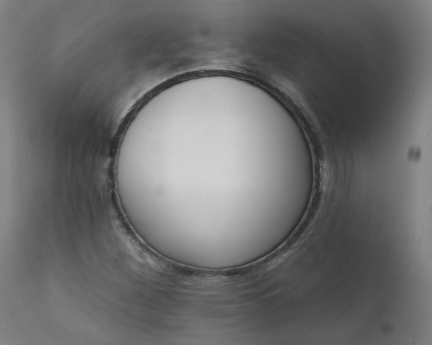 X0000111611260200907311131
