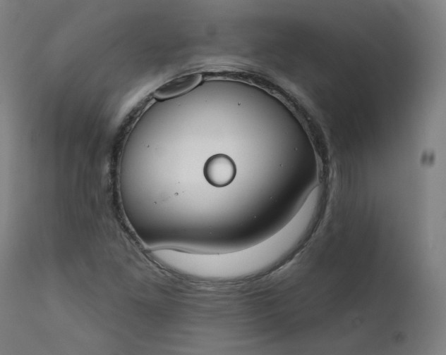 X0000111611261200907311131