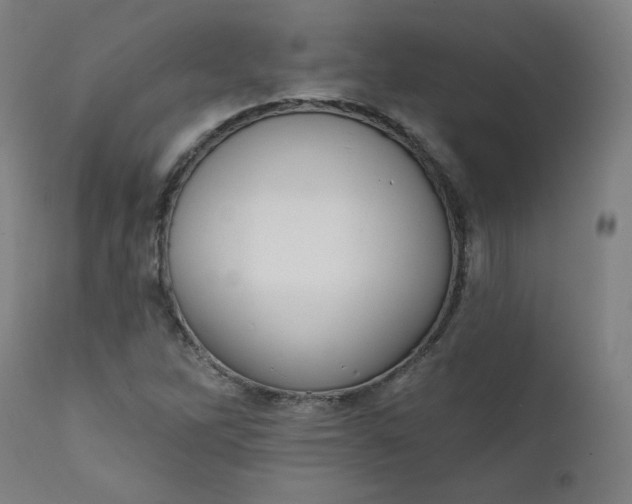 X0000111611262200907311131