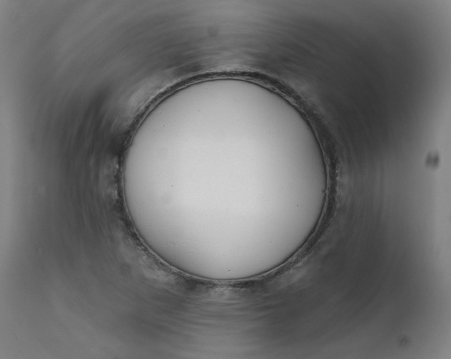 X0000111611265200907311131