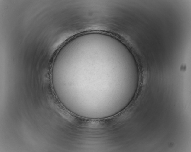 X0000111611266200907311131