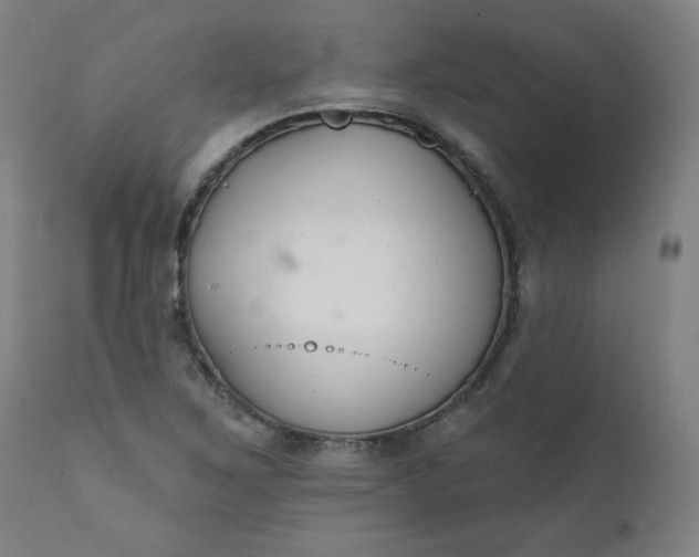 X0000111611267200907311131