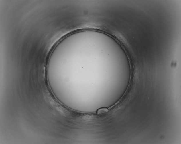 X0000111611268200907311131