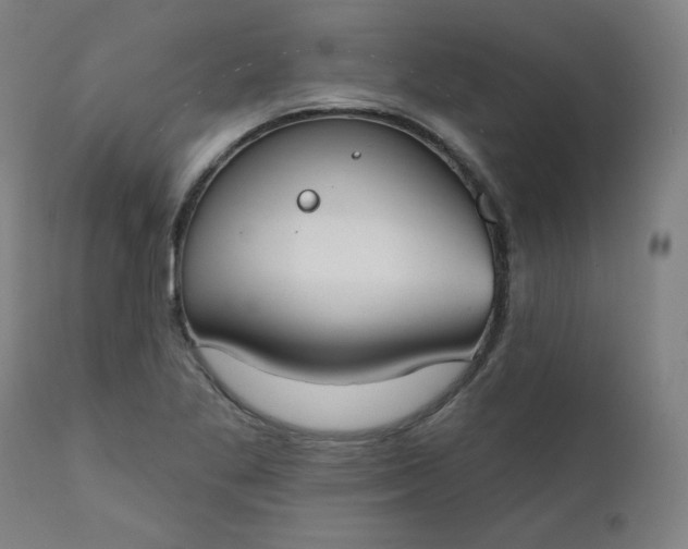X0000111611269200907311131