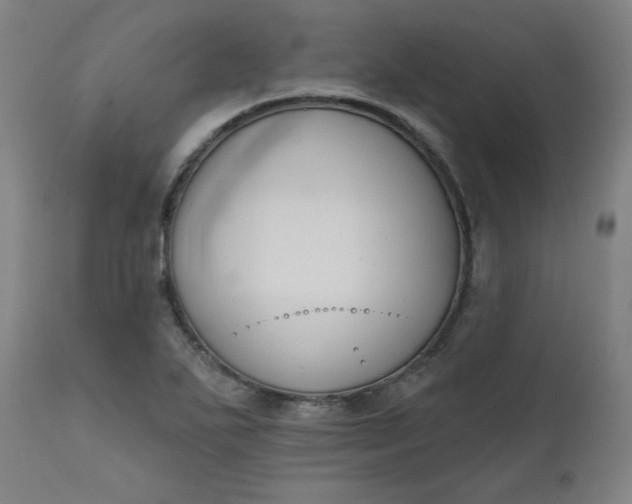 X0000111611271200907311131