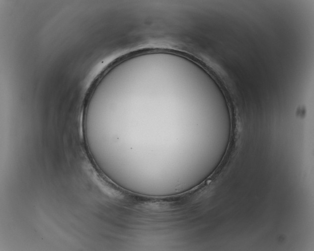 X0000111611272200907311131