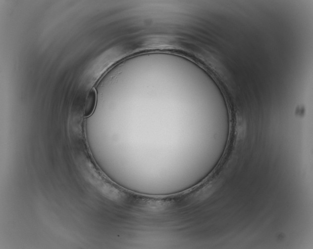 X0000111611273200907311131