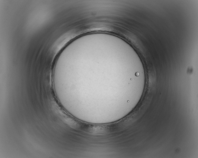 X0000111611274200907311131