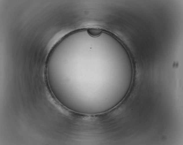 X0000111611277200907311130